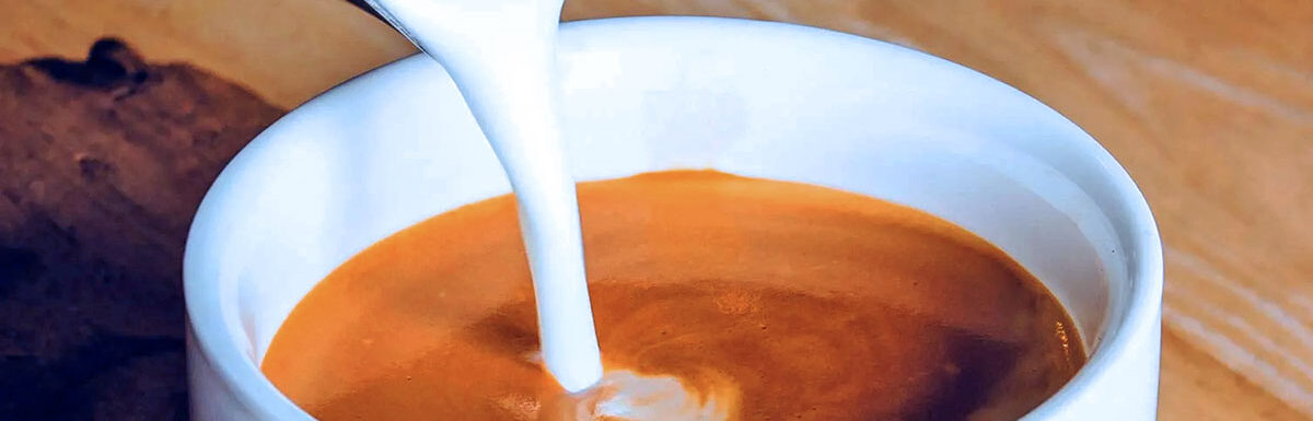 El Haba Con Leche Logra Tener Efectos Antiinflamatorios