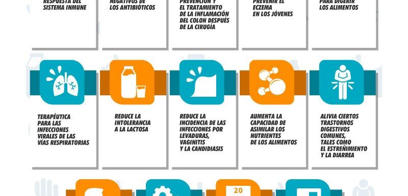 ¿qué Beneficios Aportan Los Probióticos?