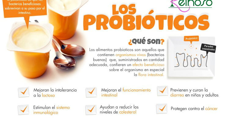 ¿qué Son Los Probióticos?
