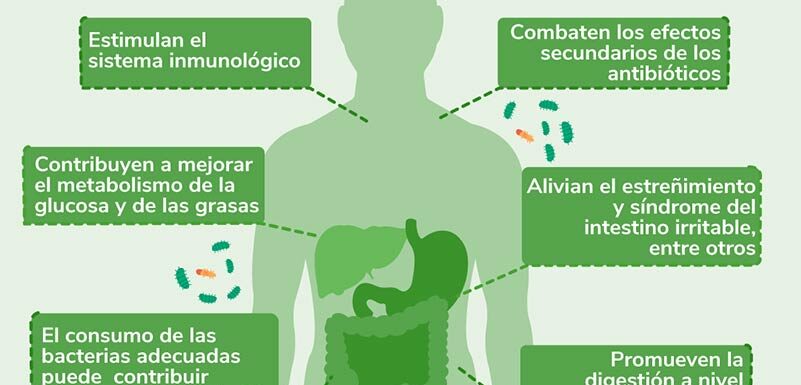 Qué Son Los Probióticos, Beneficios Y Cuándo Tomarlos